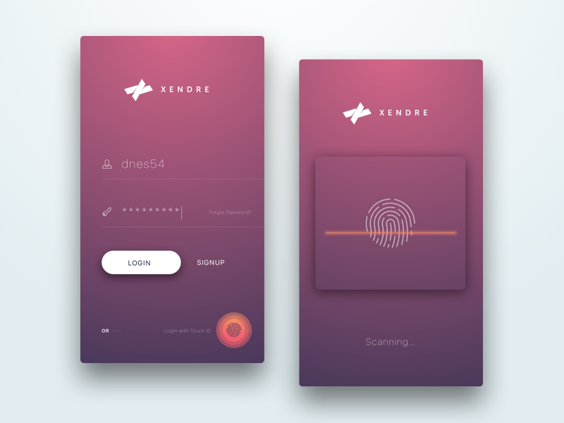 Login Screen with Touch ID By Dinesh Shrestha