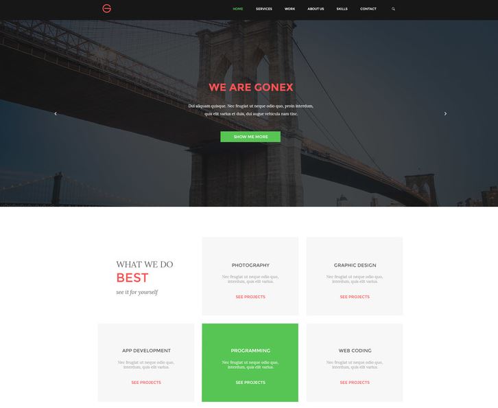 Gonex - Simple PSD Landing Page