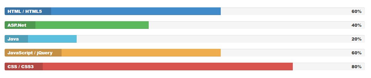 Skilled Progress Bars