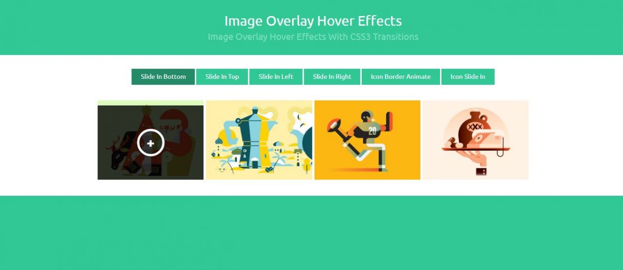 Image Overlay Hover Effect