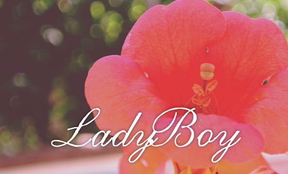  LadyBoy