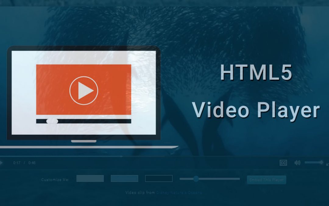 Free html5 video player and converter что это за программа