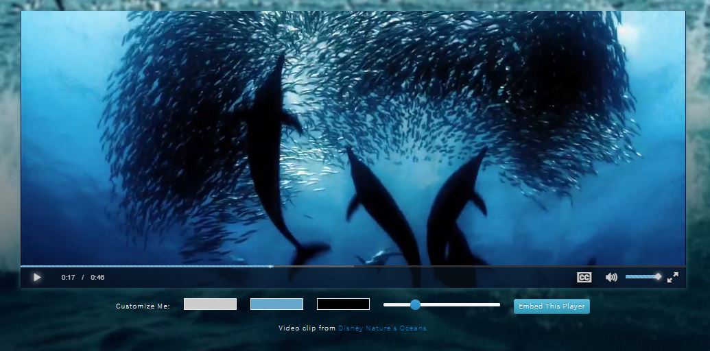html5 video player source code