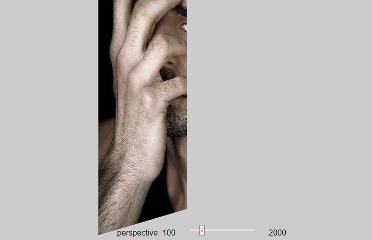 CSS 3D Perspective Tool
