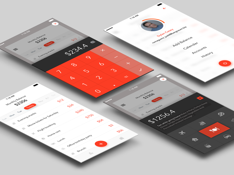 Minimal Expense Manager App Concept