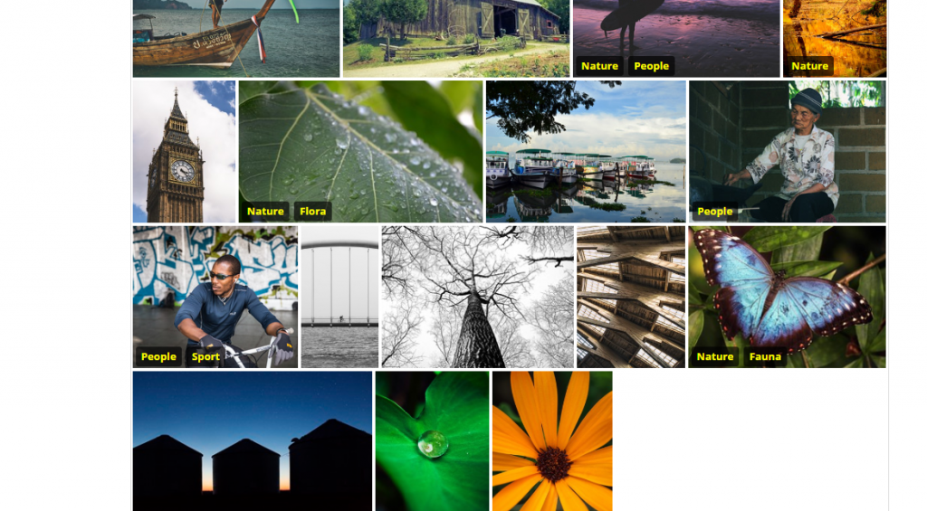 React Grid Gallery