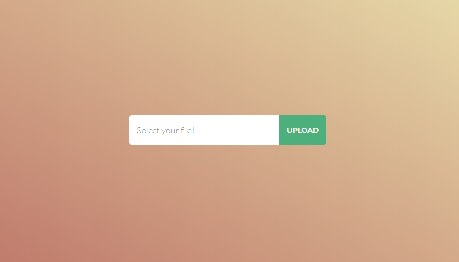 Pure CSS  Field:file input css