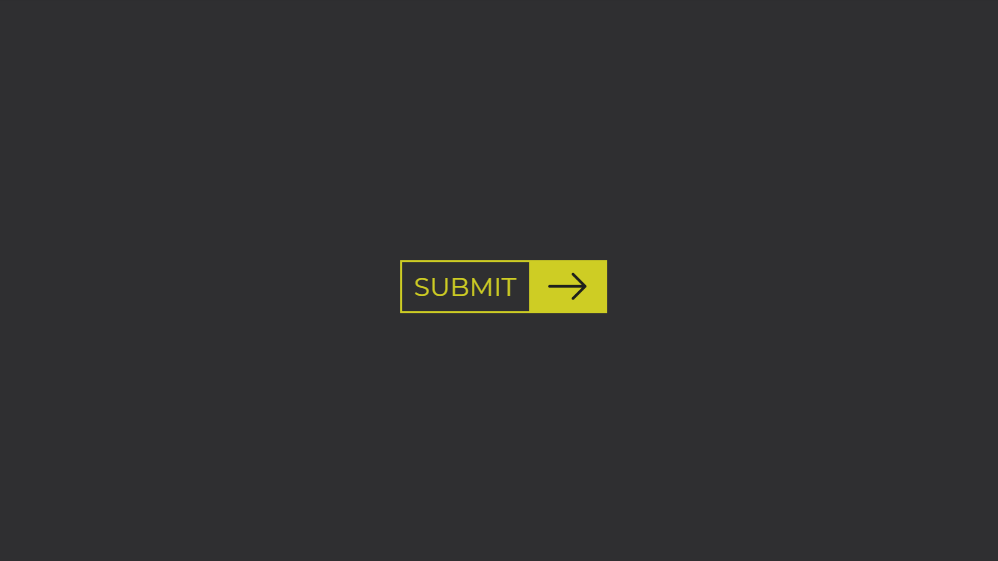 20+ Animated CSS Submit Button Examples