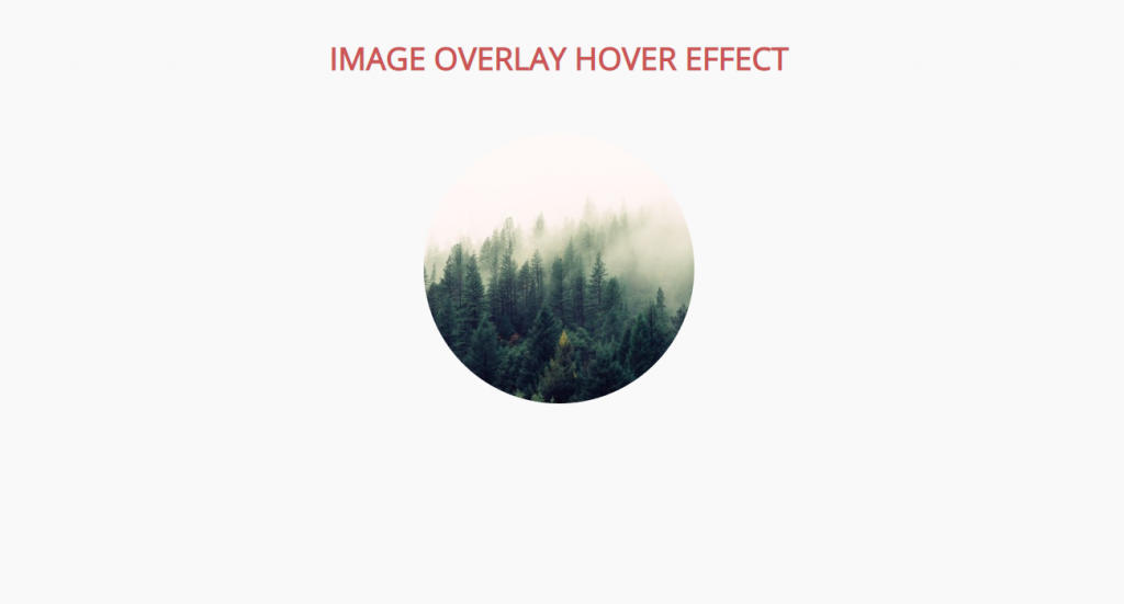 circular hover effect