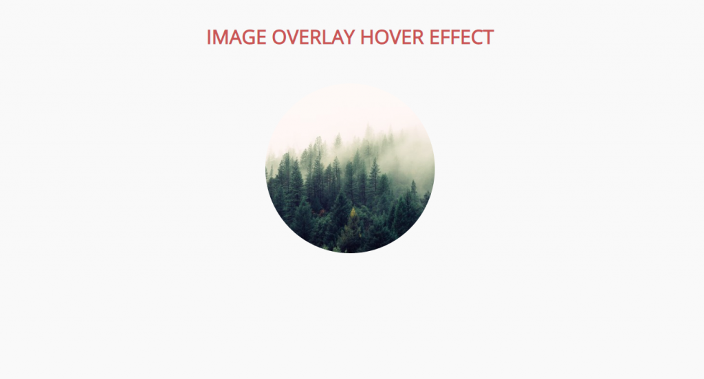 hover text on image html