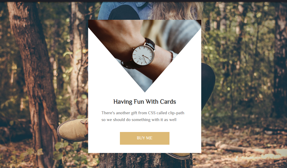 card design using css and html with animation