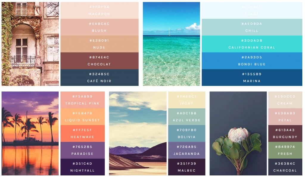 flex color palette html
