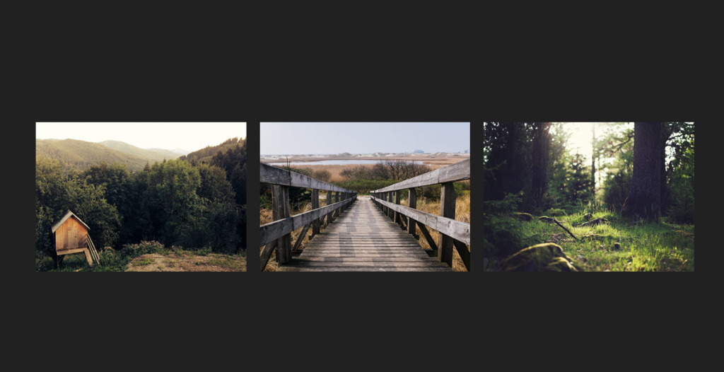 hover css image effects