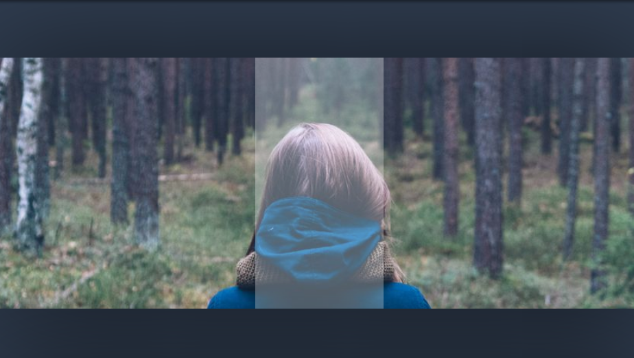 image slider with panel in html css