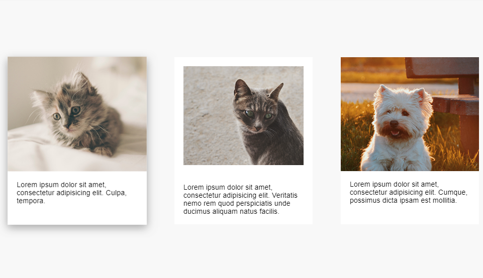 multiple card hover effect with css