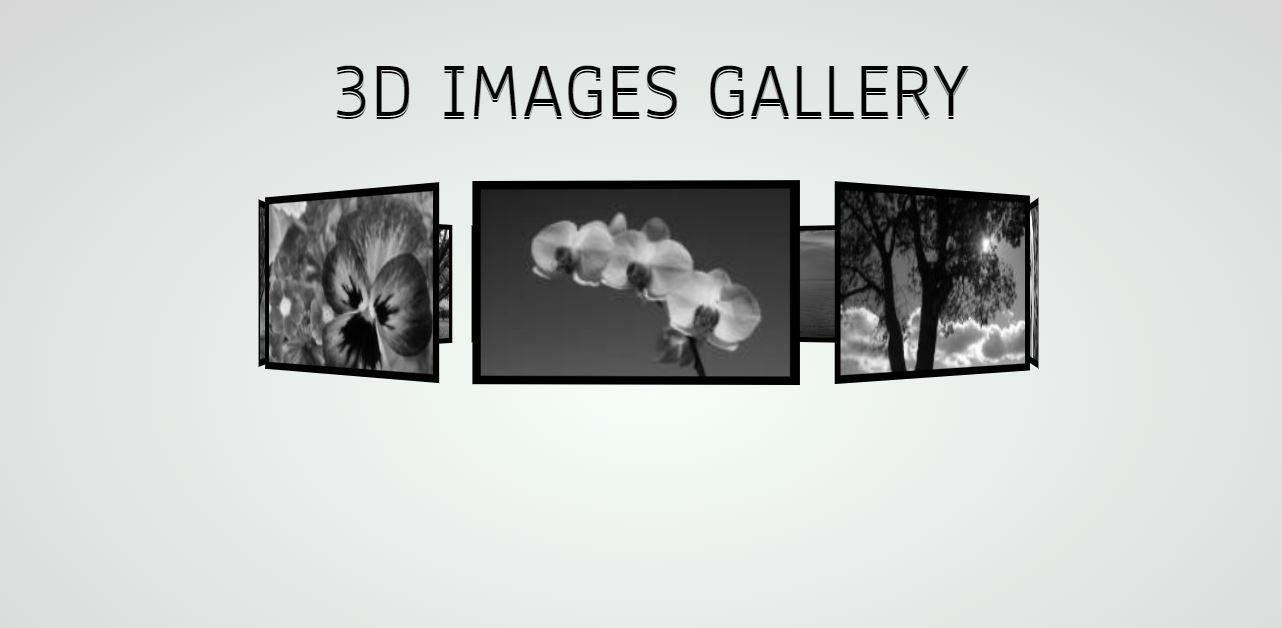 16 CSS 3D Image Gallery Effect Great Examples - OnAirCode