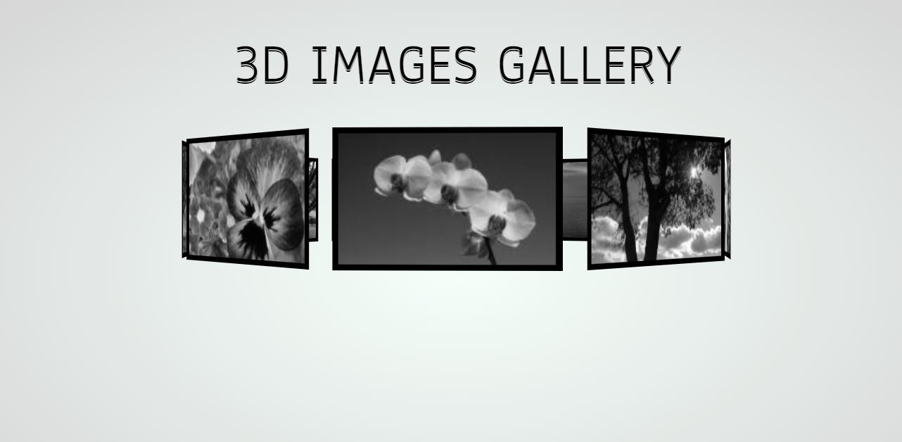 16 Css 3d Image Gallery Effect Great Examples Onaircode 5396