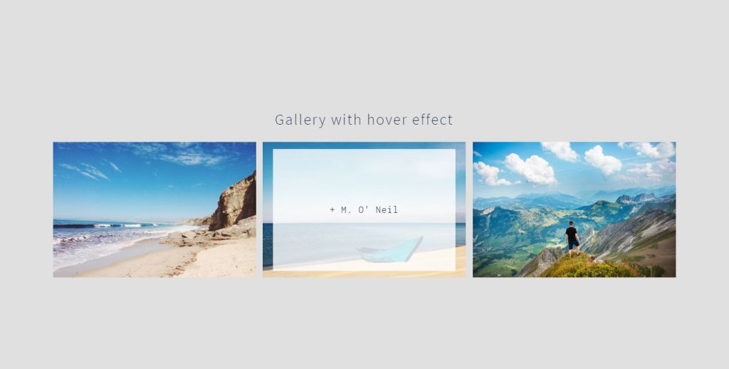 hover effect css image/photo gallery