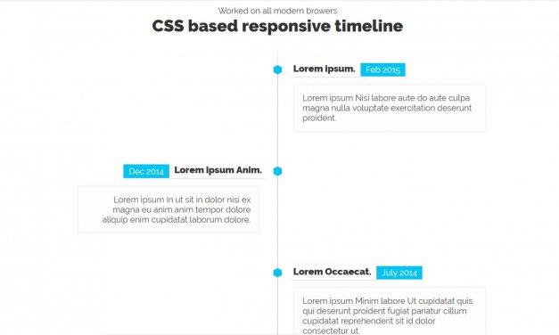 30+ Vertical Timeline CSS Cool Examples - OnAirCode