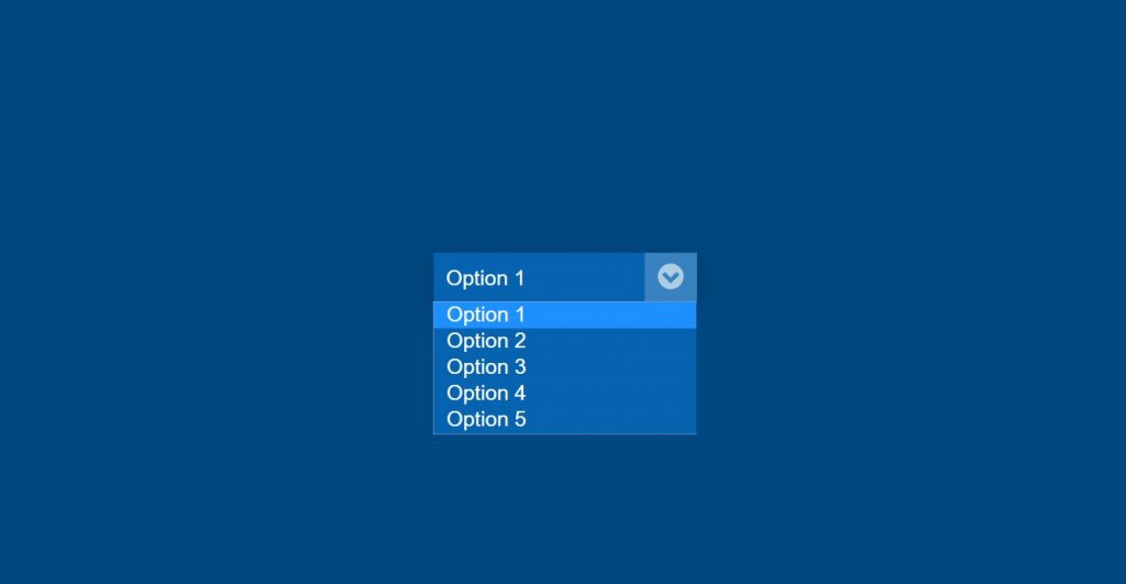 custom select box style and option with html css