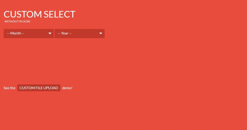 custom select box style and option with html css