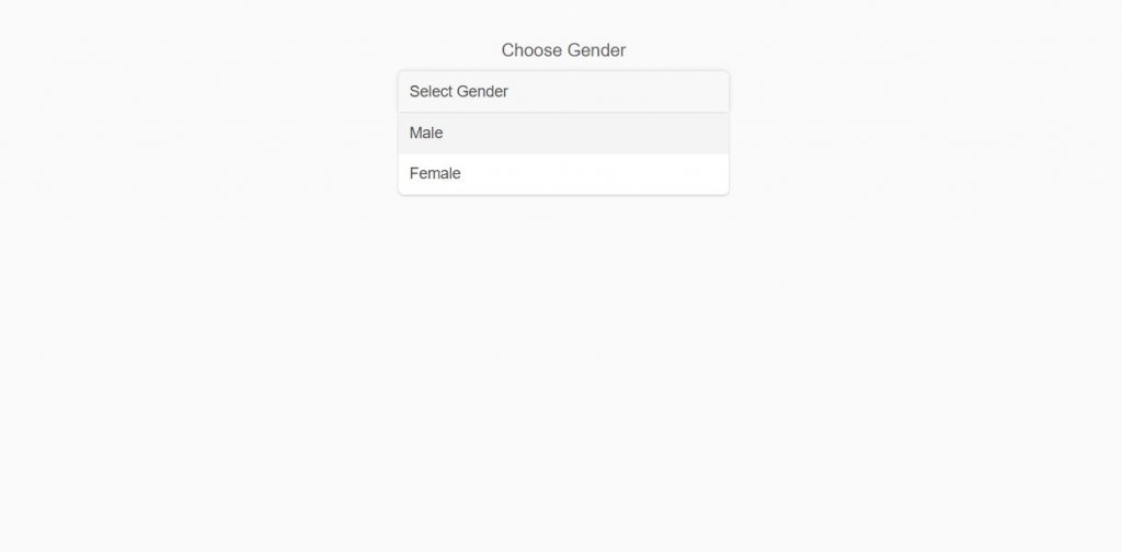 custom select box style and option with html css