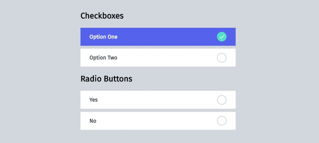 25+ Radio Button CSS Styles Examples - OnAirCode