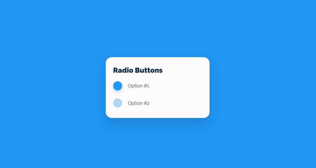 example of custom input type radio button of different style and checkboxes which displays checked symbol using HTML, CSS and Javascipt. 