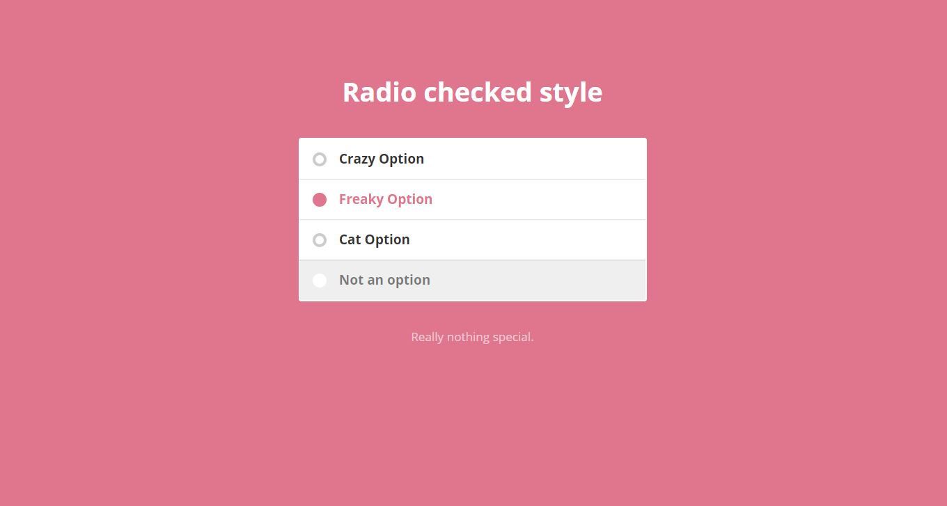 25+ Radio Button CSS Styles Examples - OnAirCode