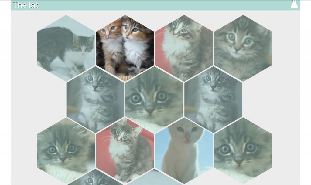 css hexagon grid examples with image and text