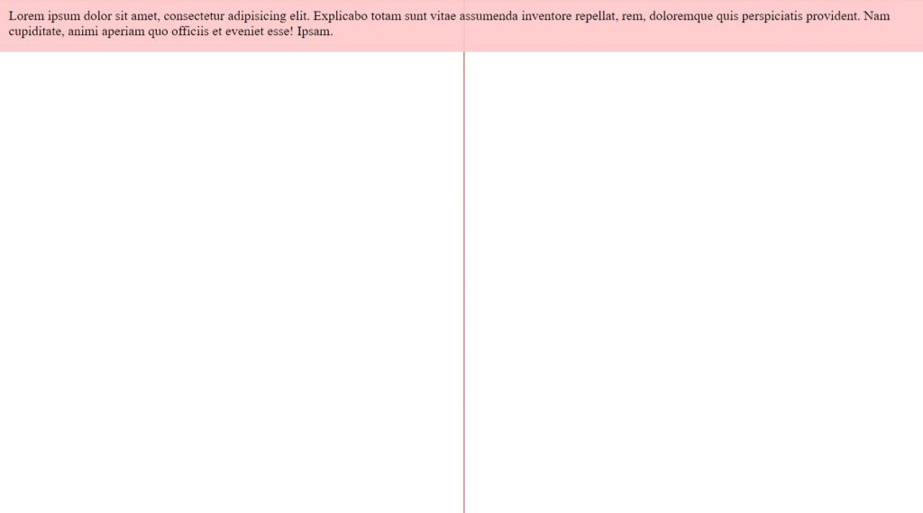 html divider vertical