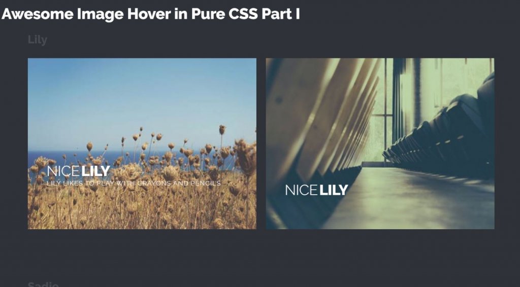 Awesome image hover effects examples