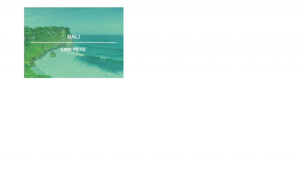 Bootstrap image hover effect