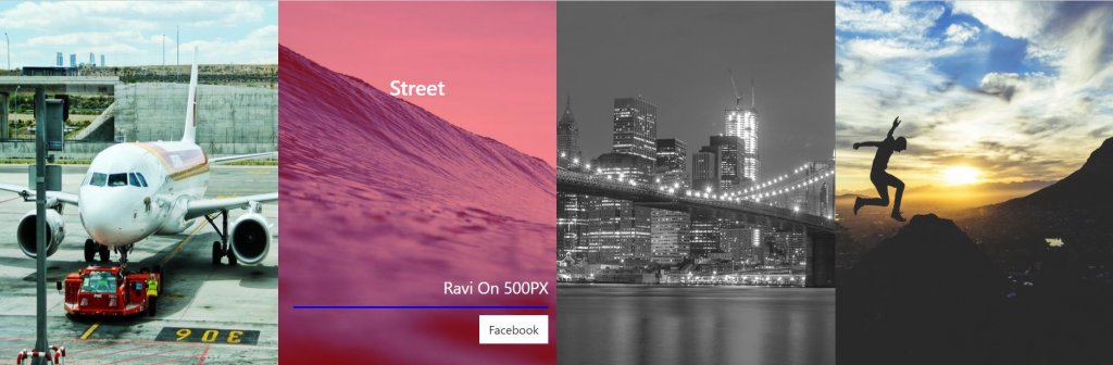 Hover Card Effect Gallery Image and Ravi