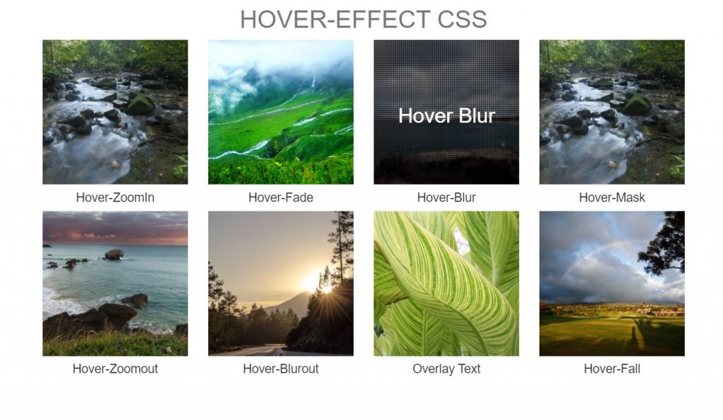 Bootstrap image hover zoom effect