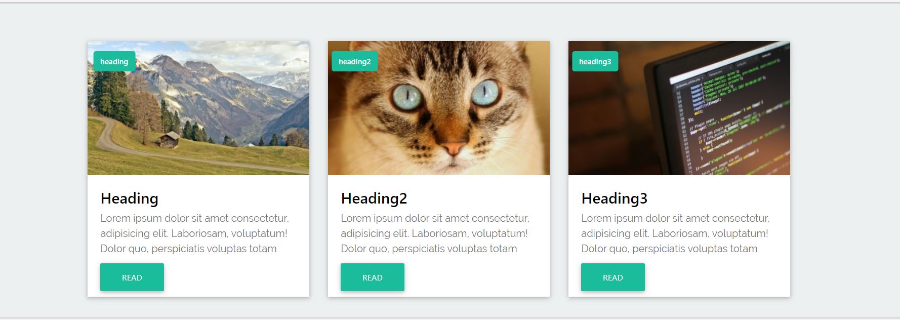 25+ Bootstrap Cards Design Examples - OnAirCode