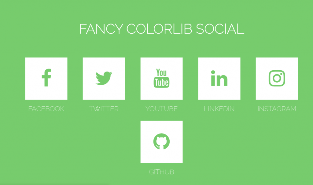 Fancy Animated SocialIcons