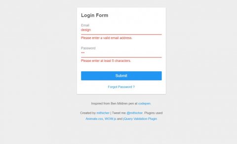 18+ JavaScript Form Validation Code Examples - OnAirCode
