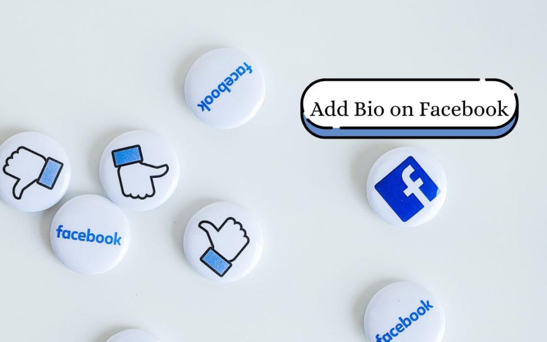 How To Add Bio On Facebook Business Page?