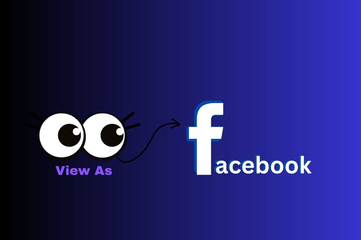 how to view facebook page as a visitor